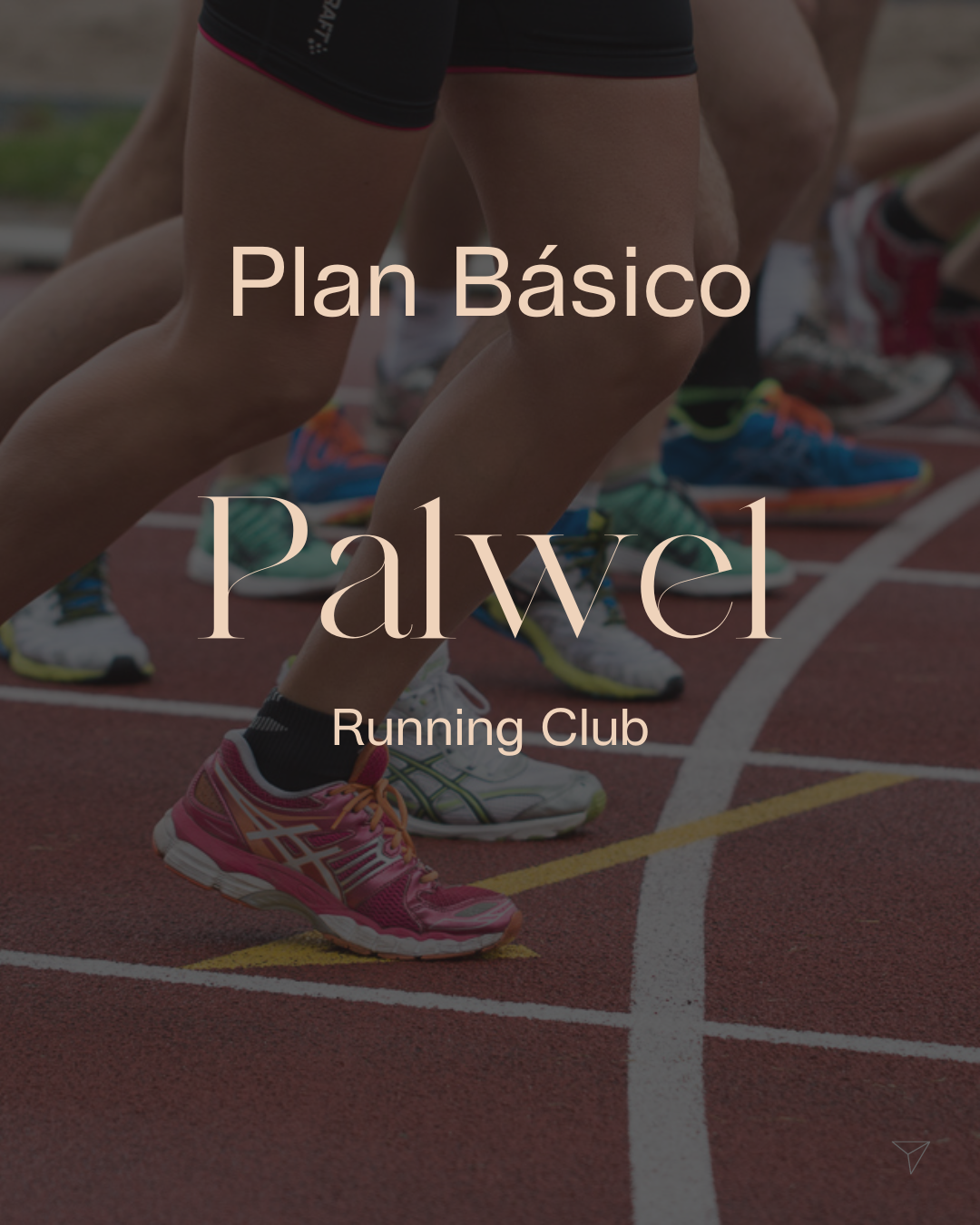 Plan Básico Palwel - Abril 25