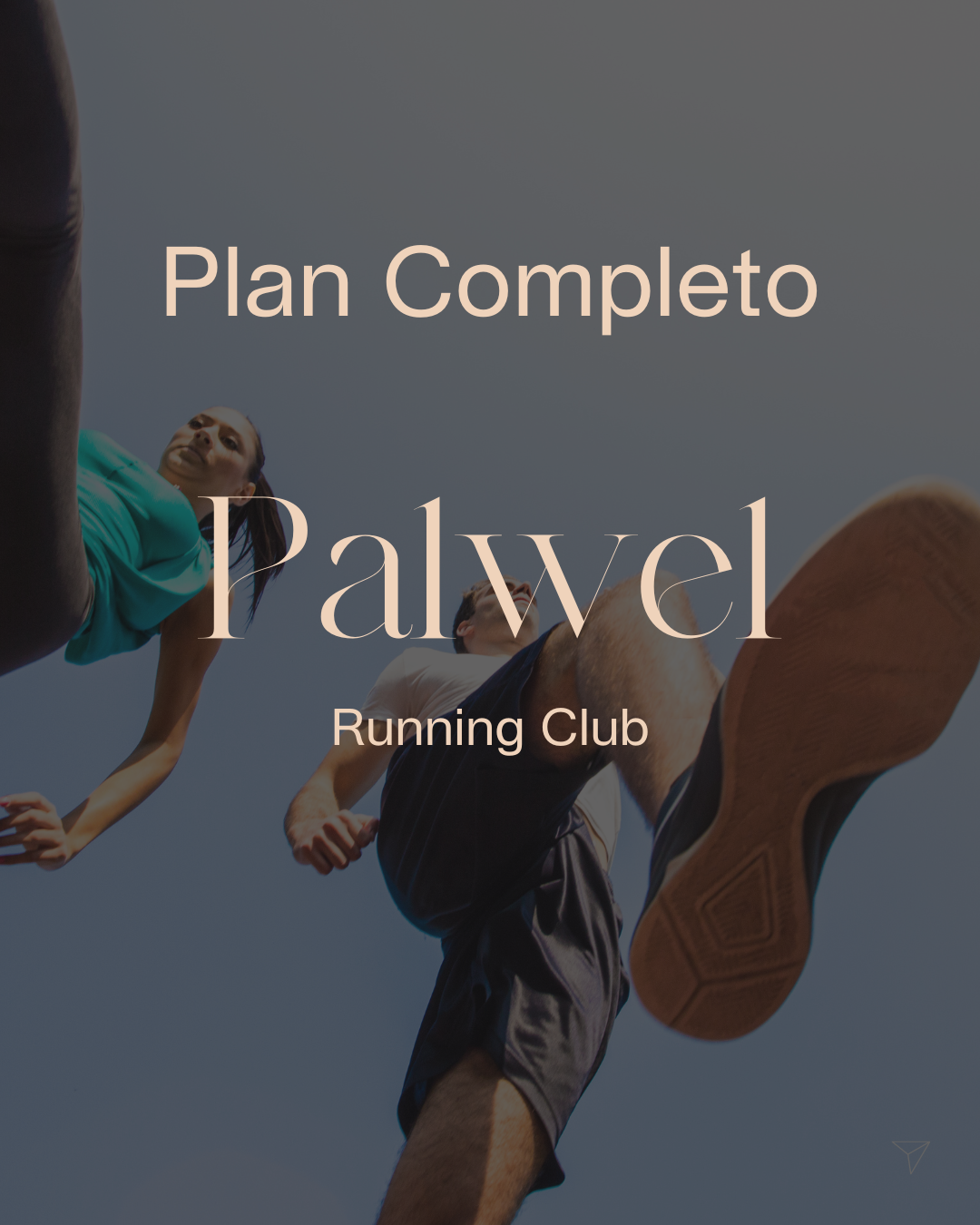 Plan Completo Palwel - Abril 25