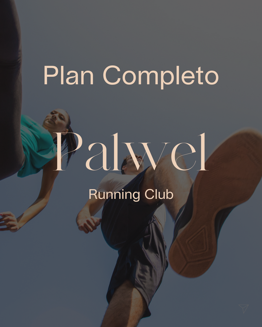 Plan Completo Palwel